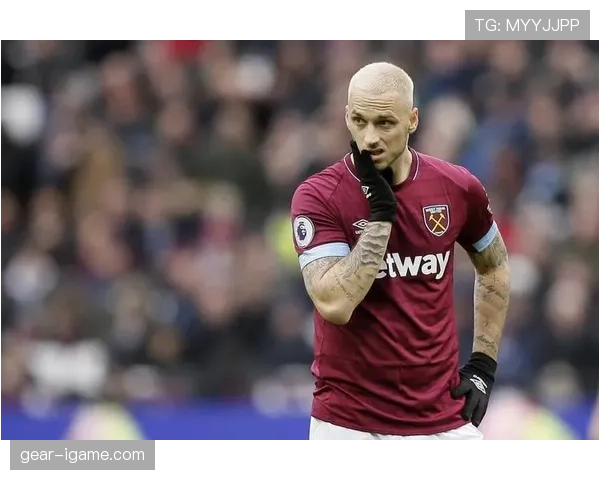 阿瑙托维奇战术适配性